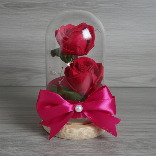 MMA Cúpula de Rosa BSA